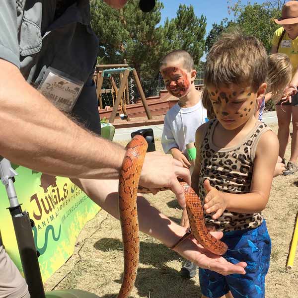 Petting Zoo with snake at San Ramon summer camp